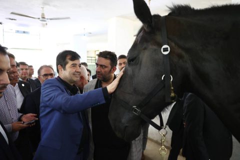 بازدید وزیر ورزش و جوانان از مجموعه سوارکاری نوروز آباد
