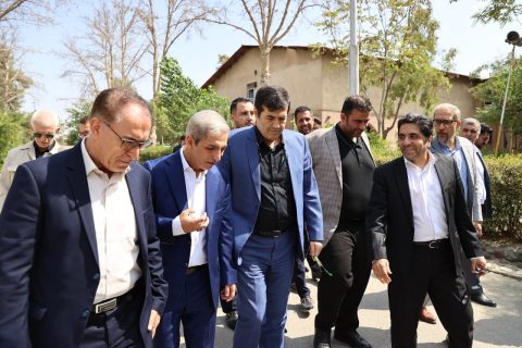بازدید وزیر ورزش و جوانان از مجموعه سوارکاری نوروز آباد