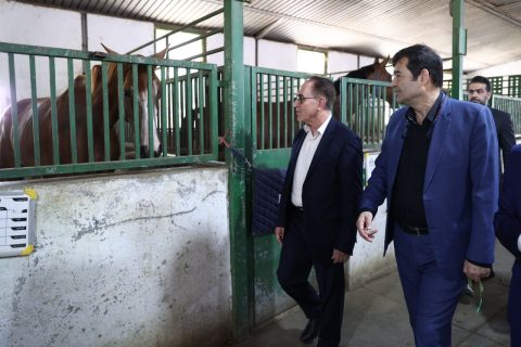 بازدید وزیر ورزش و جوانان از مجموعه سوارکاری نوروز آباد